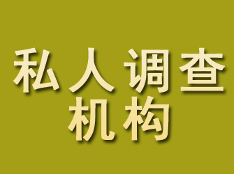 定海私人调查机构